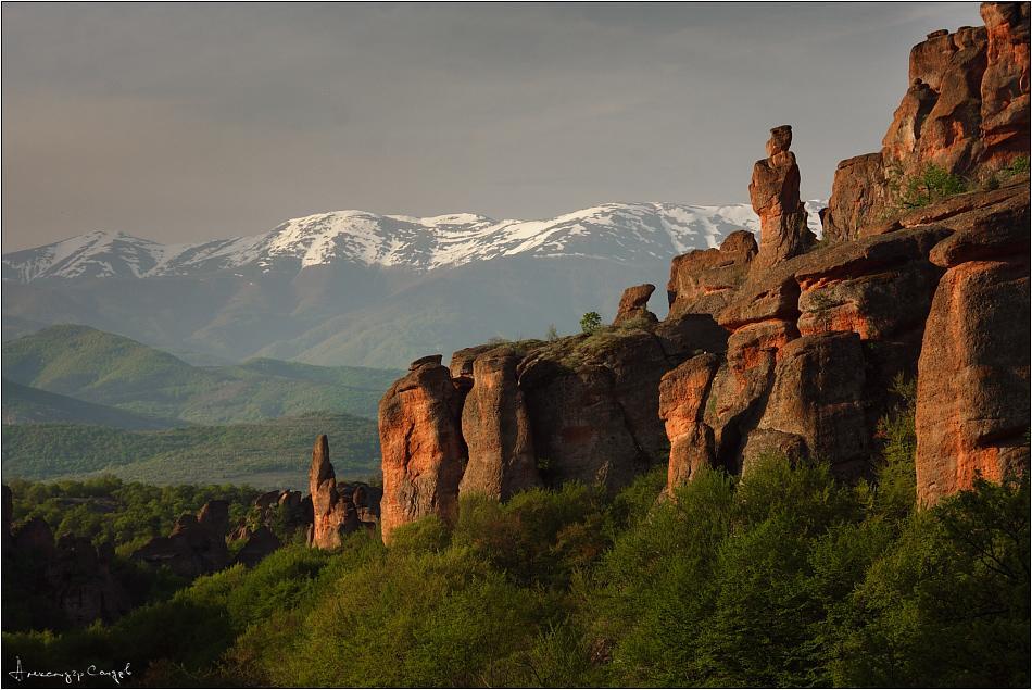 Castle Cottage Bed & Breakfast بيلوغرادتشيك المظهر الخارجي الصورة