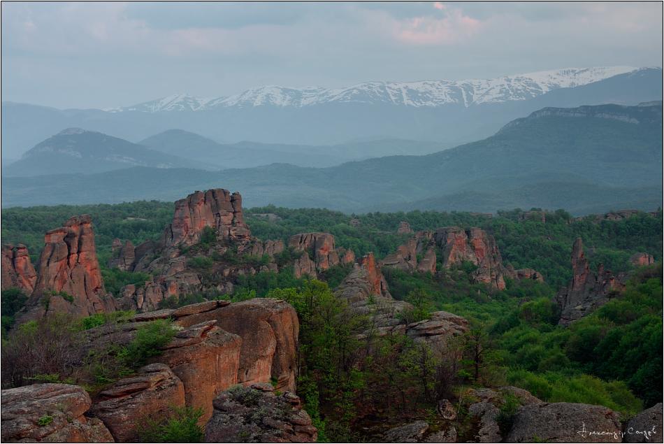 Castle Cottage Bed & Breakfast بيلوغرادتشيك المظهر الخارجي الصورة