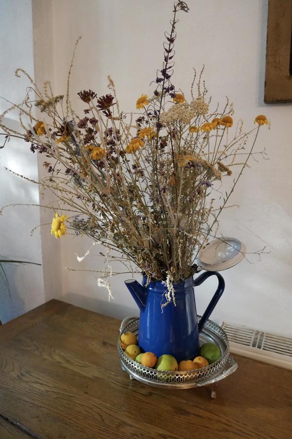 Castle Cottage Bed & Breakfast بيلوغرادتشيك المظهر الخارجي الصورة